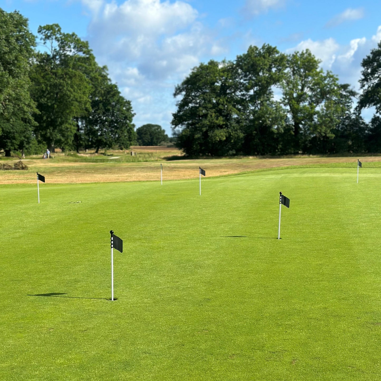 Løs top til puttinggreen flag, design flag, sort